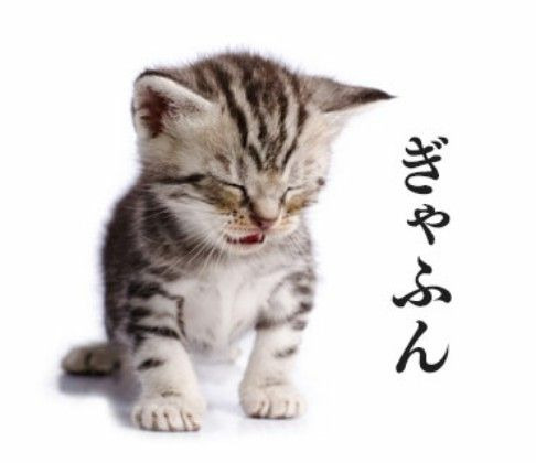 Шишка Шишковна