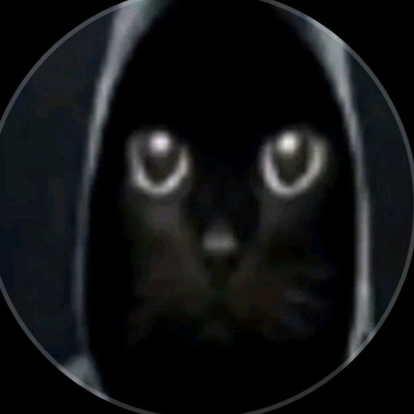 Данила Жеженко