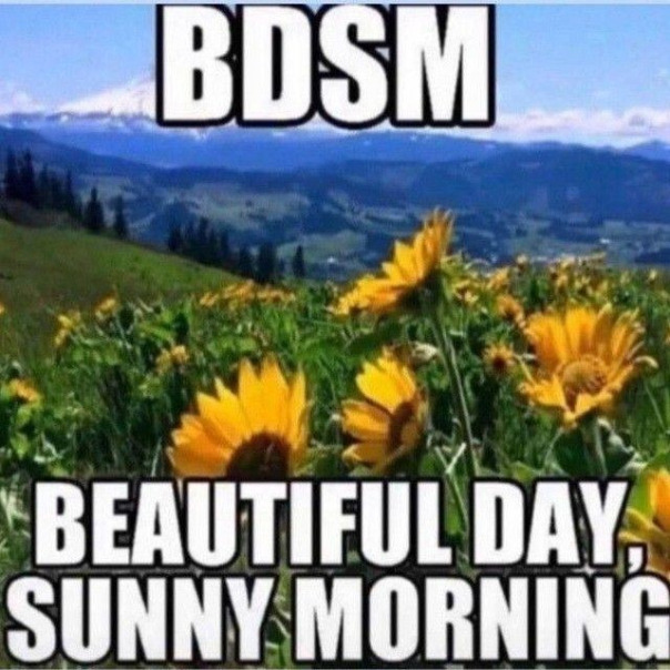 Фотографии со стены