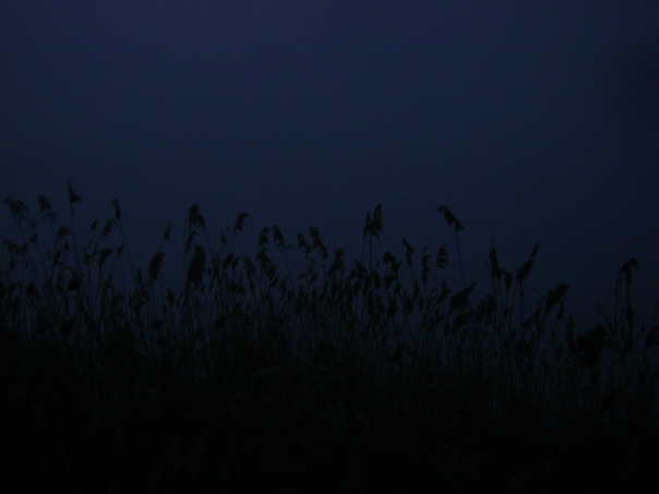 Фотографии со стены