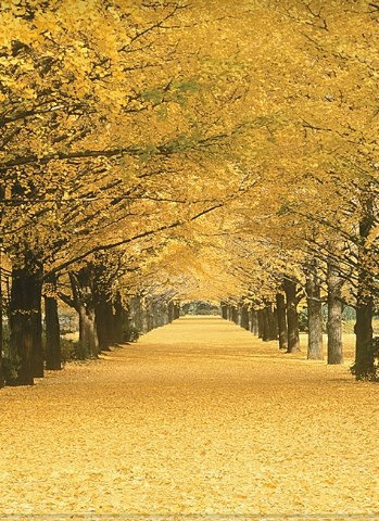 Фотографии со страницы