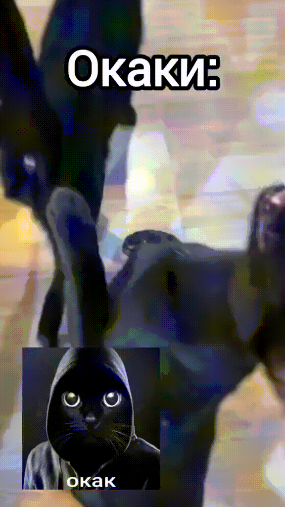 m13tfz08k-1933909272041304078-01