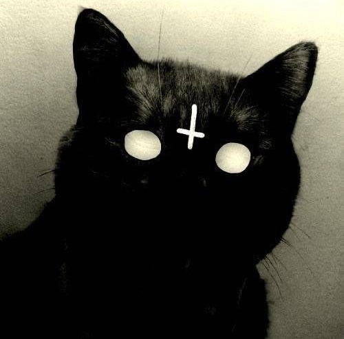 Фотографии со страницы