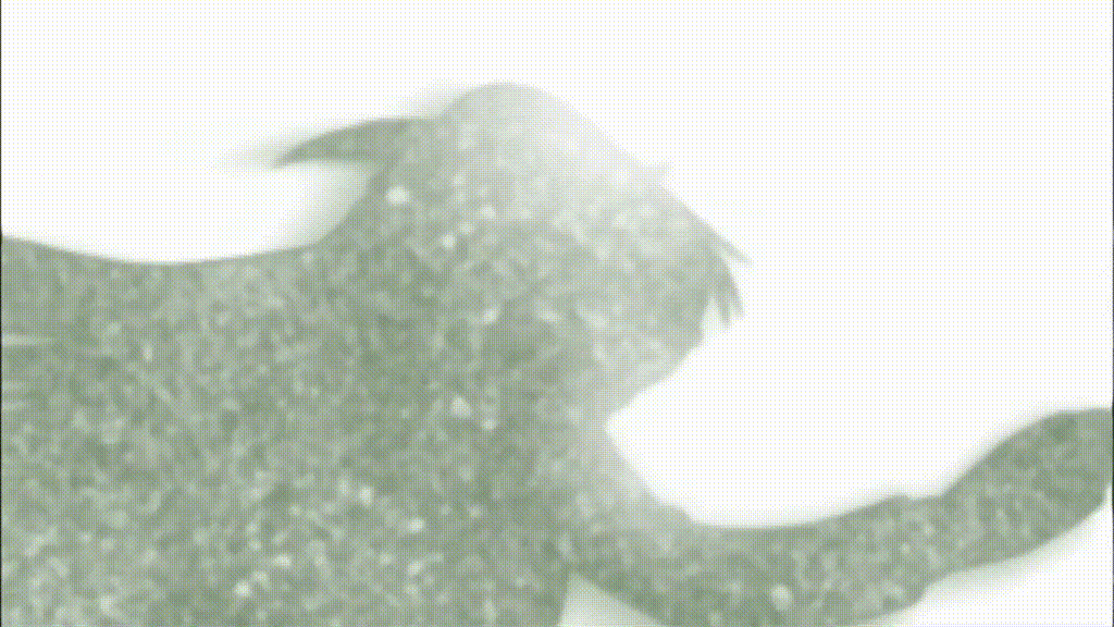 Yozakura Quartet — Opening