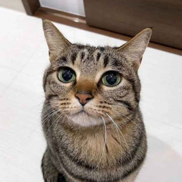 Фотографии со стены