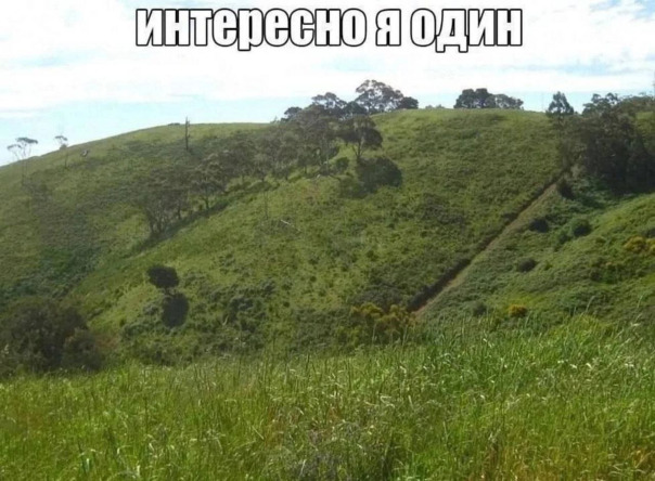 Фотографии со стены