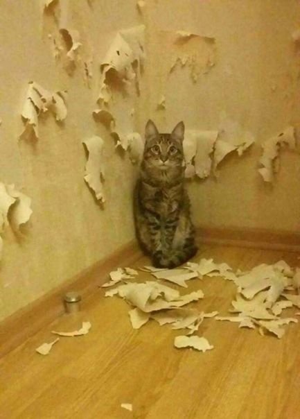 ээ у меня вооьще нет желания занимат...